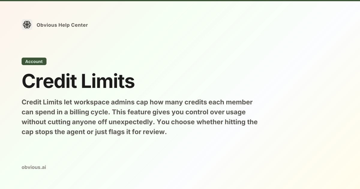 How to Set Credit Limits in Obvious — Obvious Help Center